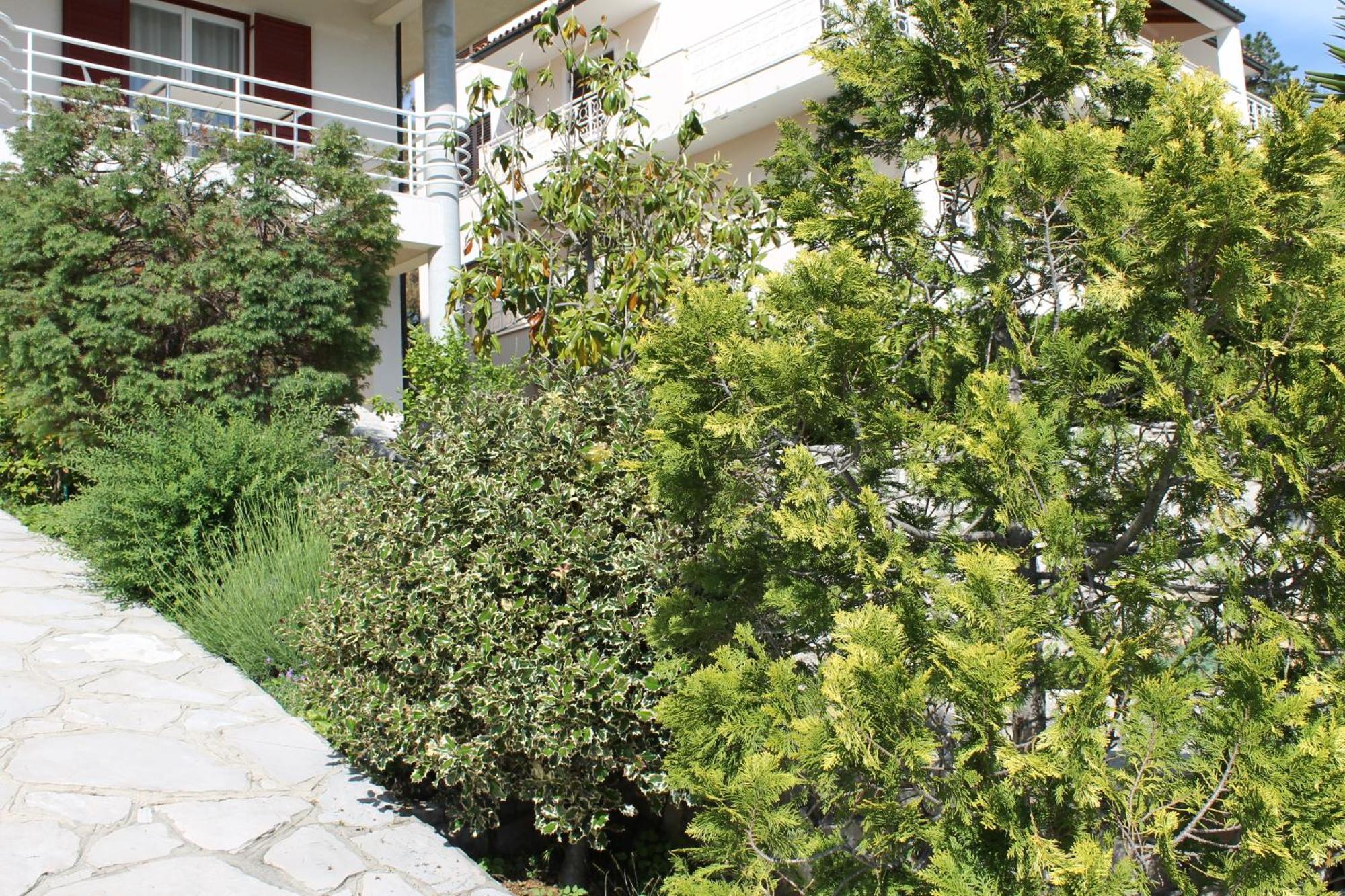 Apartments Vila Marica Rabac Eksteriør billede